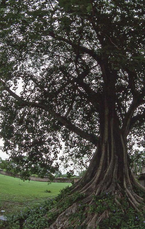 WT 0800 133-19 Thailand Sukhothai.jpg